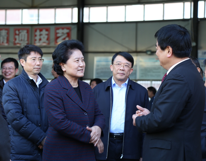 中共中央政治局委員、國務(wù)院副總理劉延?xùn)|在教育部副部長朱之文，四川省教育廳廳長朱世宏等陪同下視察四川應(yīng)用技術(shù)職業(yè)學(xué)院_副本.jpg